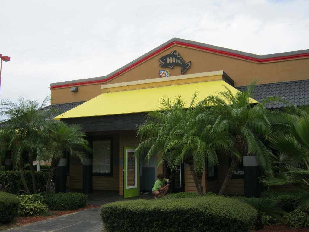 canopy, awning, fabric, vinyl